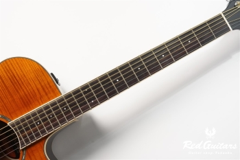 APX-600FM - Amber